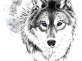 Wolf Dead Drawing 51 Best Wolf Drawings Images Wolf Drawings Tattoo Wolf Animal