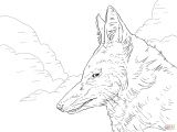 Wolf Dead Drawing the Walking Dead Ausmalbilder Inspirant Images Ausmalbilder the