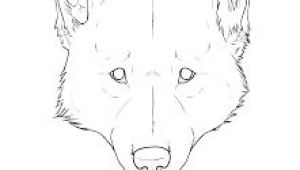 Wolf Drawing Easy Face 75 Best Draw A Wolf Images Drawing Techniques Drawing Tutorials