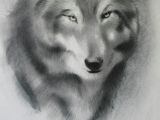 Wolf Drawing Easy Face A Step by Step Guide Of How to Draw A Wolf