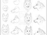 Wolf Drawing Easy Step by Step 75 Best Draw A Wolf Images Drawing Techniques Drawing Tutorials