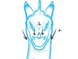 Wolf Drawing Front View Dragon Head Drawing Front How to Draw Dragon Heads Step by Step