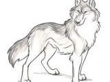 Wolf Drawing Guide 180 Best Wolf Drawings Images Drawing Techniques Drawing