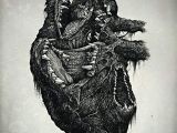 Wolf Drawing Heart Wolf Heart Richey Beckett Illustration My Heart Anatomy