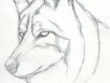 Wolf Drawing In Pencil How to Draw A Wolf Head Mexican Wolf Step 3 Drawings Pinterest