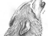Wolf Drawing In Pencil Pin by Margaret Luke On Wolves Wolf Drawings Pencil Drawings