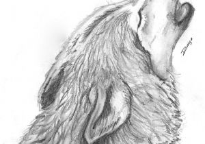 Wolf Drawing In Pencil Pin by Margaret Luke On Wolves Wolf Drawings Pencil Drawings