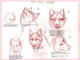 Wolf Drawing Lessons 109 Best Wolf Images Wolf Drawings Art Drawings Draw Animals