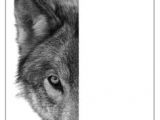 Wolf Drawing Lessons 109 Best Wolf Images Wolf Drawings Art Drawings Draw Animals