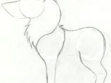 Wolf Drawing Lessons 61 Best Wolf Images Wolves Drawing Ideas Drawings