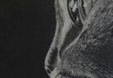Wolf Drawing On Black Paper 120 Best White On Black Drawings Images Black Paper Drawing White
