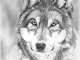 Wolf Drawing Small 109 Best Wolf Images Wolf Drawings Art Drawings Draw Animals