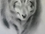 Wolf Drawing top View A Step by Step Guide Of How to Draw A Wolf