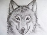 Wolf Drawing with Pencil Cool Drawings Of Animals Pencil Art Drawing My References In