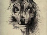 Wolf Drawing with Rose 73 Amazing Wolf Tattoo Designs Ink Wolf Tattoos Tattoos Wolf