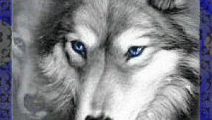 Wolf Running Drawing Gif Free Animated Wolf Gifs Graphics A Wolves Graphics Wolf