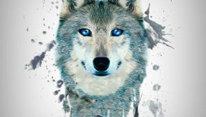 Wolves Drawing Wallpaper Fractal Wolf Wallpaper by S 0d Free On Zedgea
